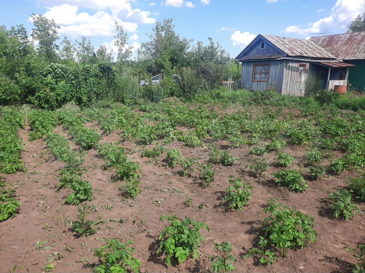 Участок 8 сот. (СНТ, ДНП)