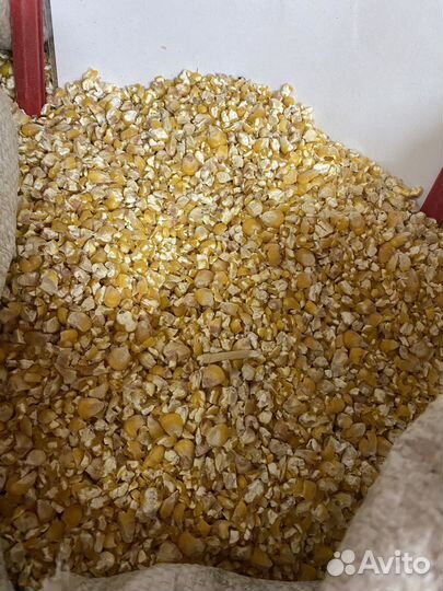 Кукуруза колотая