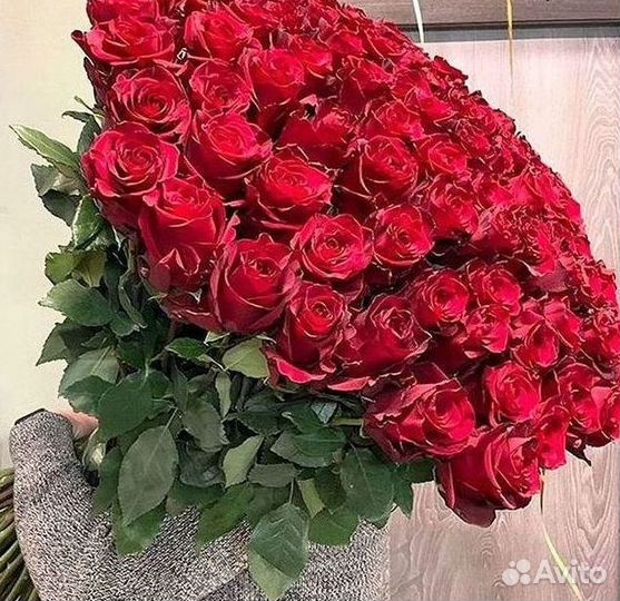 Розы Букеты Цветы Розы 31 101 151 201 Доставка