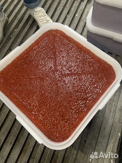 Икра красная