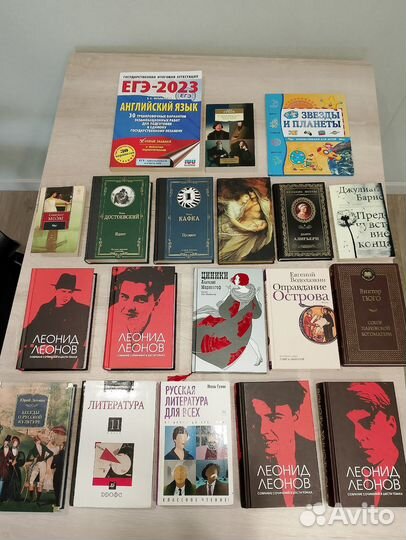 Художественная литература