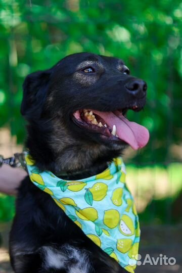 Спасите пока не стало поздно