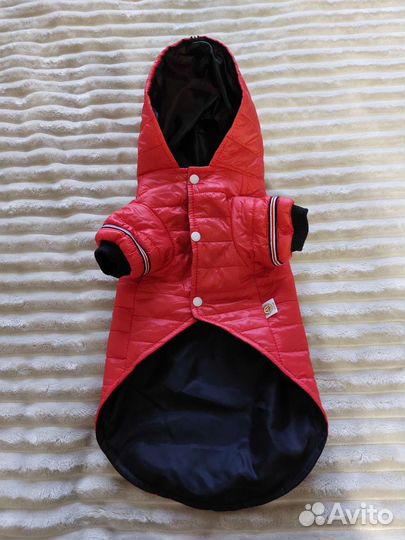 Одежда для собак мелких пород