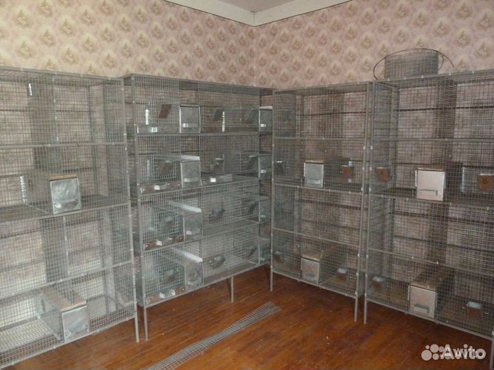 Клетки (боксы) для шиншилл