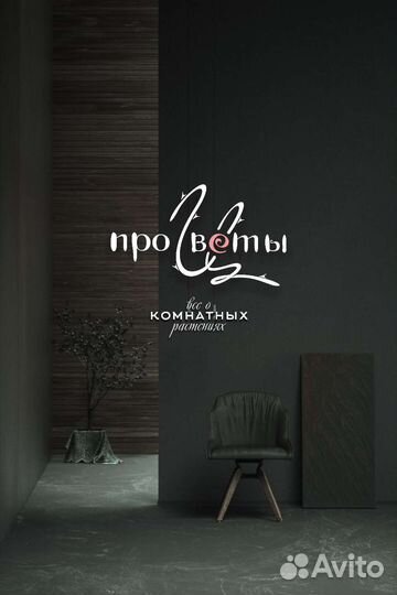 Разработка логотипа