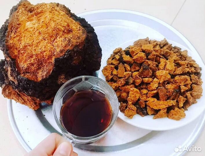 Чага (берёзовый гриб) дроблённая, 100 гр