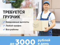 Грузчик подработка ежедневные выплаты