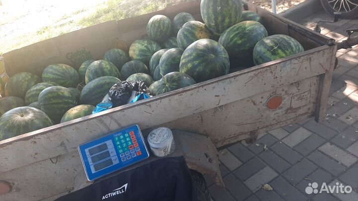 Арбуз оптом