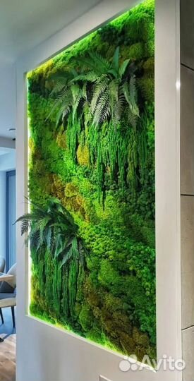 Озеленение интерьера. Фитостена