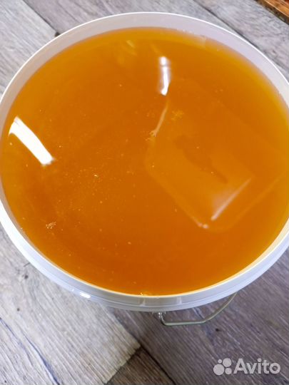 Свежий мед 2023