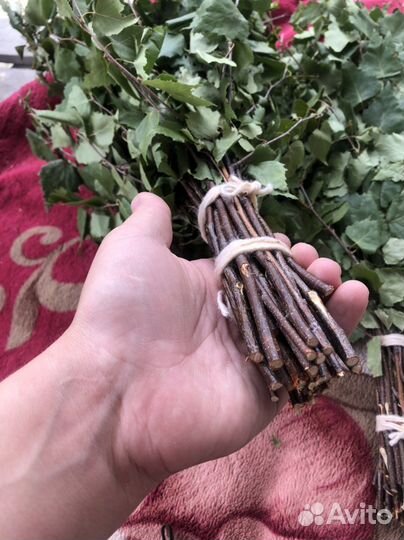 Березовые веники 2023 Банный веник