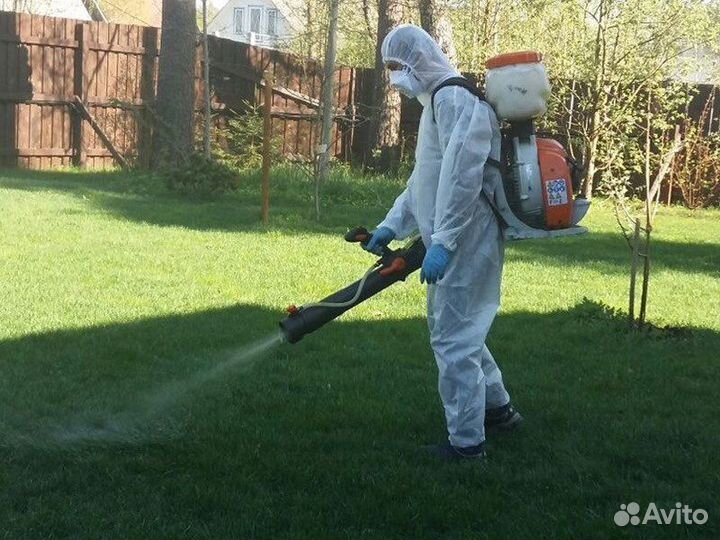 Частный дезинсектор