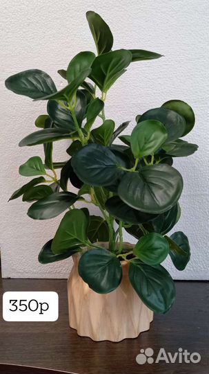 Искуственные растения