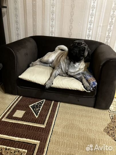 Диван для собак и кошек