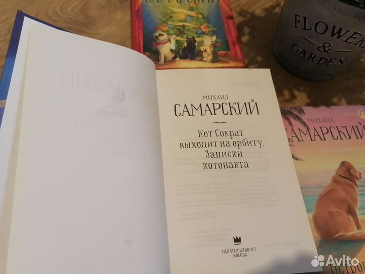 Михаил Самарский 5 серий