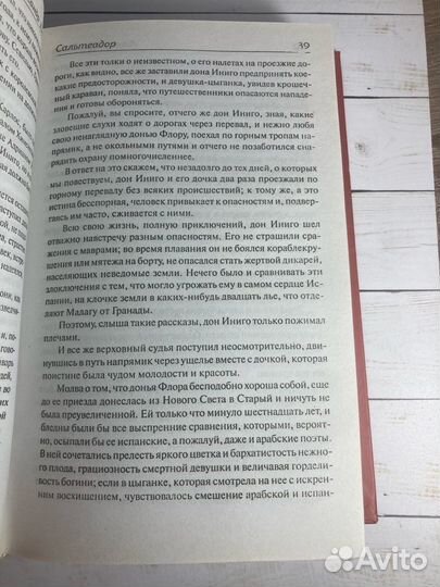 Книга «Сальтеадор. Жорж»