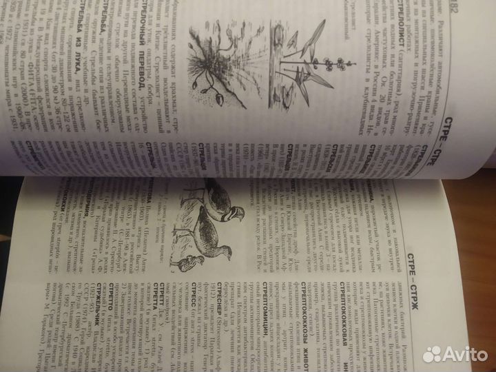 Энциклопедия