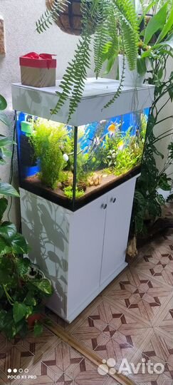Аквариум с тумбой 80л