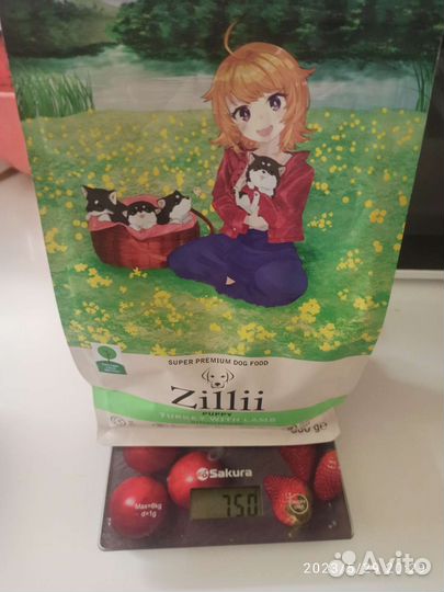 Сухой корм для собак