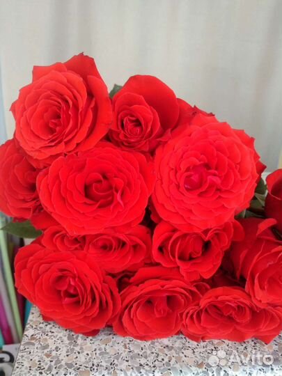 Розы Хризантемы