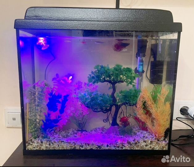 Аквариум