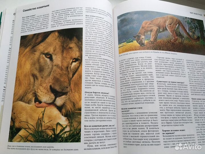 Книга «Азбука природы»