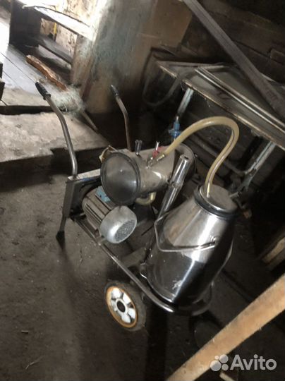 Доильный аппарат