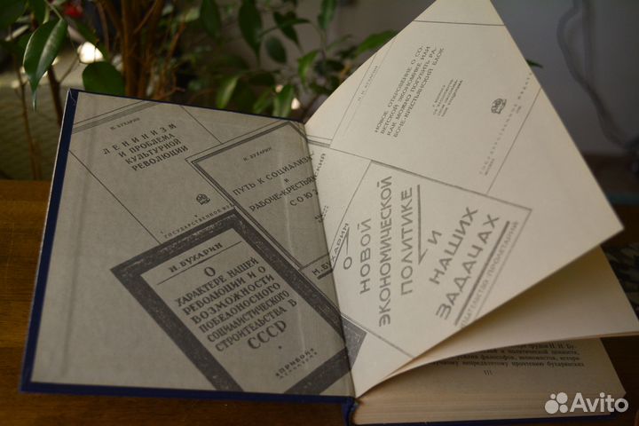 Книга Бухарин Н. И. «Избранные произведения»