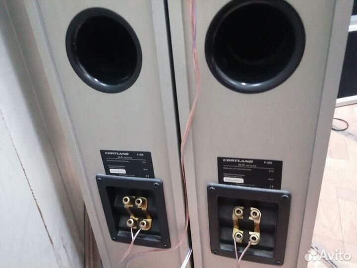 Продам акустическую систему Cortland f-500