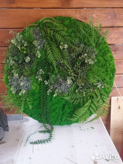 Фитокартина любого размера,формы и цвета