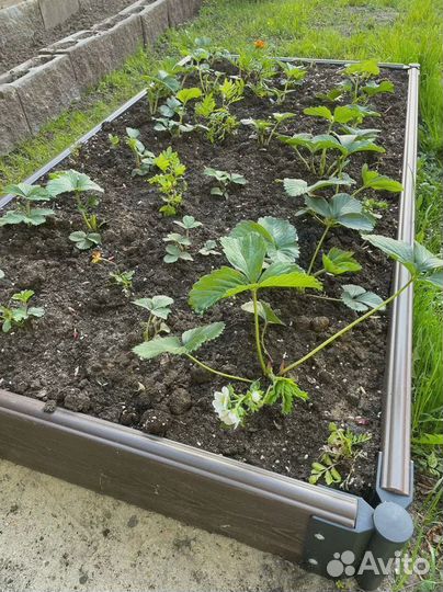 Грядки дпк высотой 300 мм в Раменском