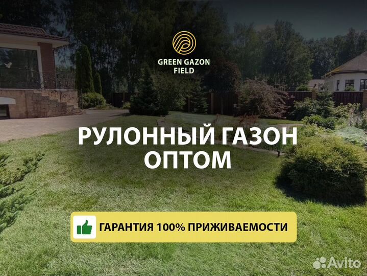 Полевой газон 