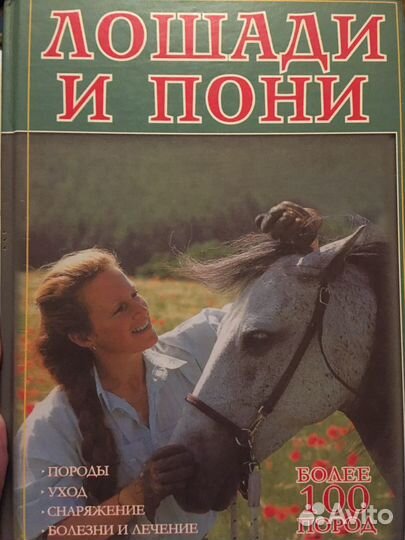 Лошади и пони более 100 пород с фото