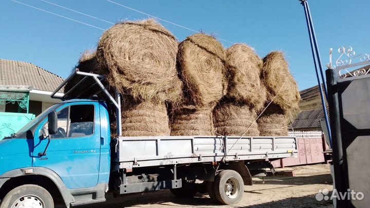 Сено в рулонах