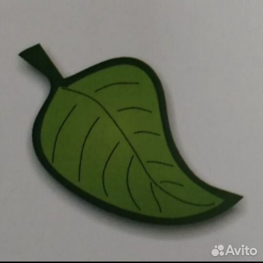 Дератизация