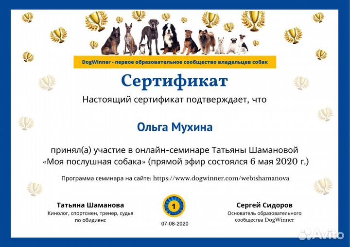 Услуги кинолога