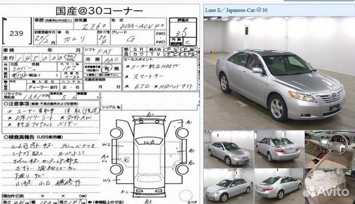 Датчик ABS передний левый Toyota Camry ACV40 7