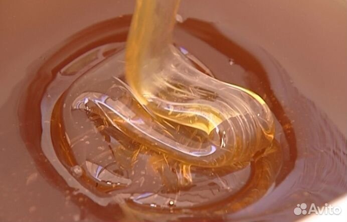Мёд натуральный Алтайский опт min 16kg
