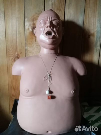 Торс с ожирением для отработки приема Геймлиха