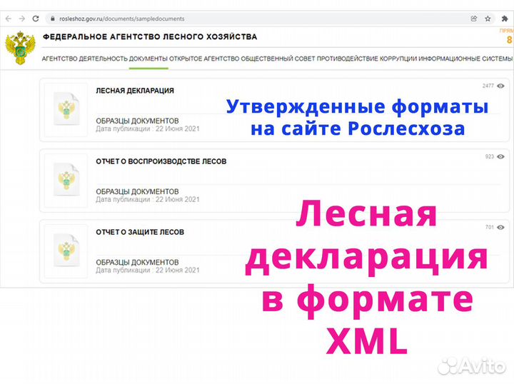 Лесная декларация в формате XML по приказу № 303