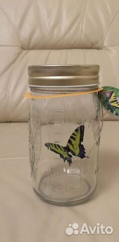 Бабочка электронная в банке