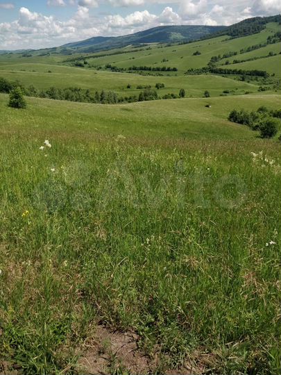 Участок 10 сот. (СНТ, ДНП)