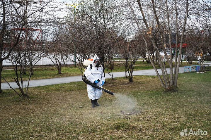 Обработка участка от клещей комаров мошки