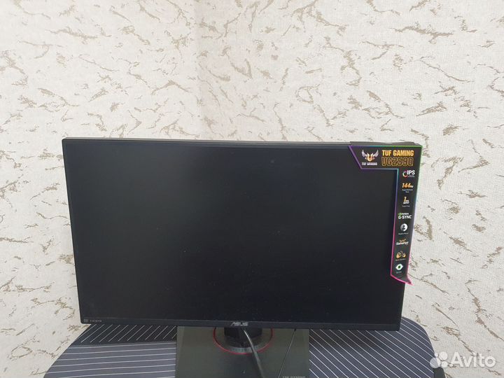 Монитор 144 гц Asus