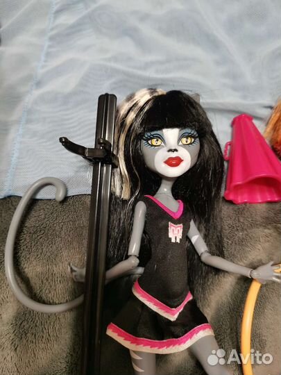 Куклы монстр Хай.Кошки чарлидеры,Тора цирк