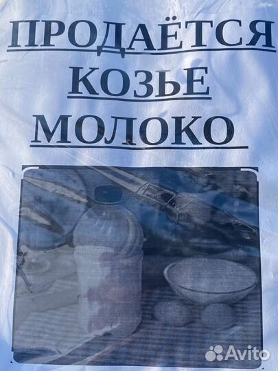 Домашнее козье молоко