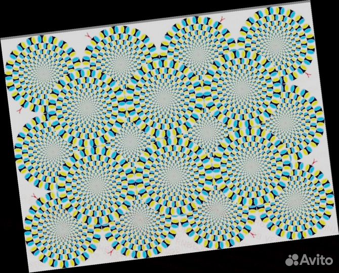 Грузчики Работа вахтой прожив. /питание Выплата еж