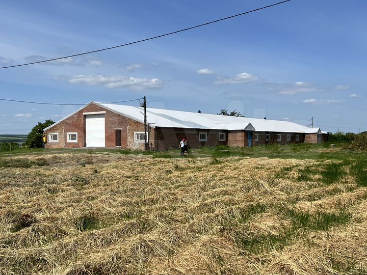 Здание, 3200 м²