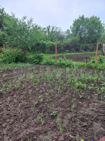 Дача 20 м² на участке 3 сот.