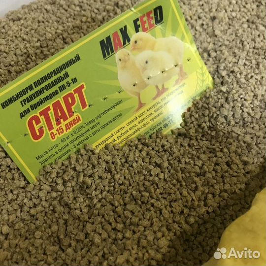 Комбикорм для кур